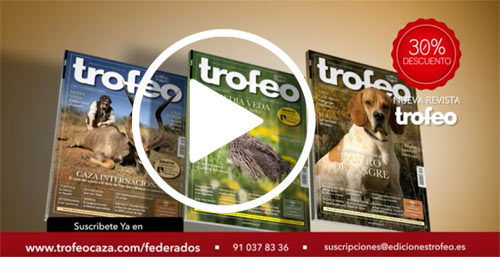 Trofeofederaciones-video ok