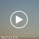 Video-Zorzales