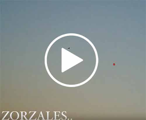 Video-Zorzales