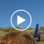 Campo-de-montiel-web