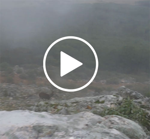 Leica-monterias-1web