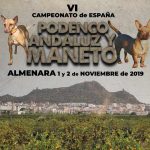 cartel-podenco-andaluz-2019. jpg