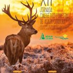 jornadas-cinegetico-forestal