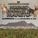 podenco_andaluz_2019_cartel