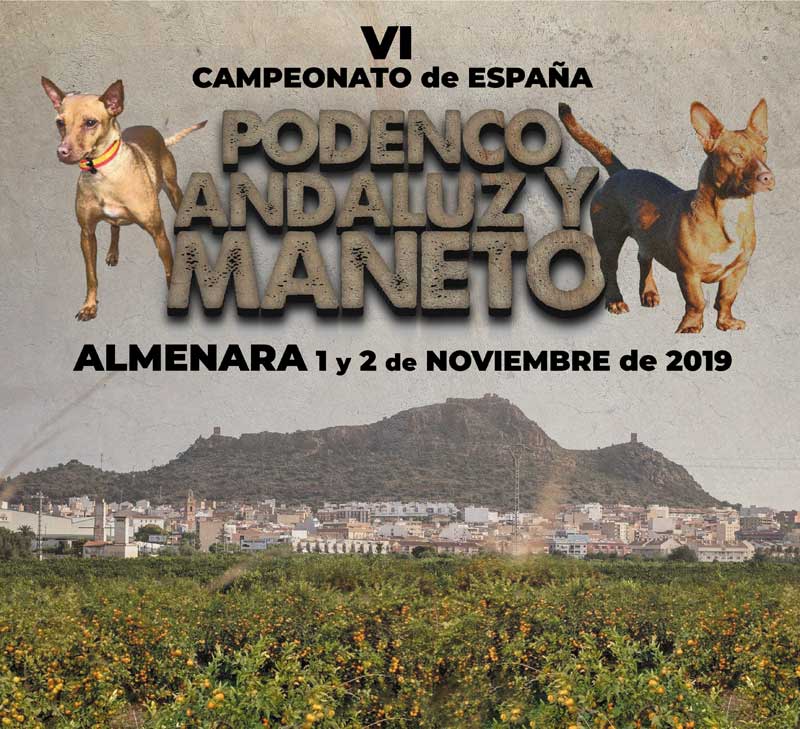 podenco_andaluz_2019_cartel