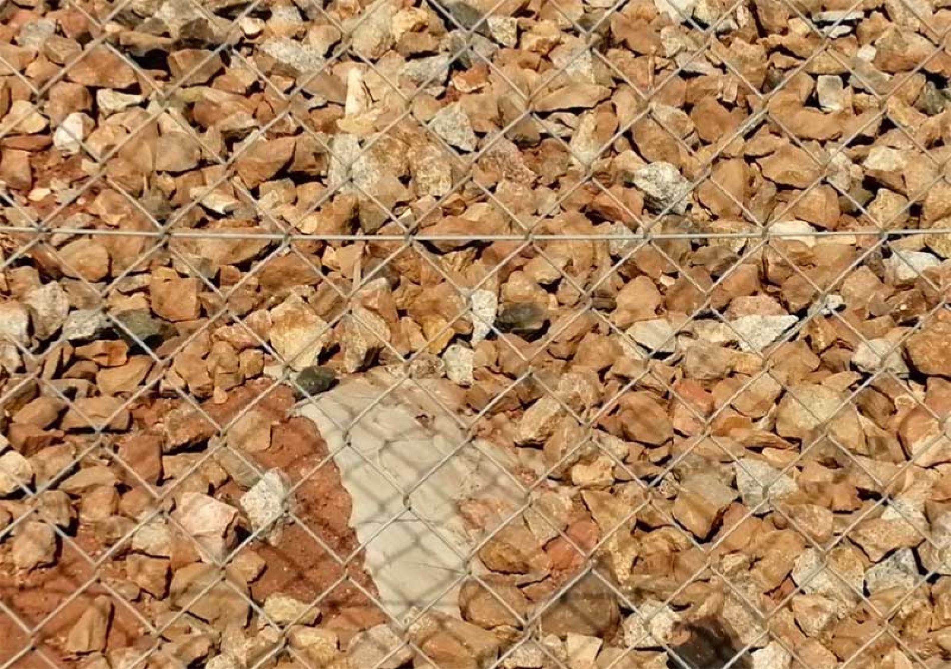 Adif retira el cemento con que tapaba las madrigueras de conejos de las vías del tren en Jaén