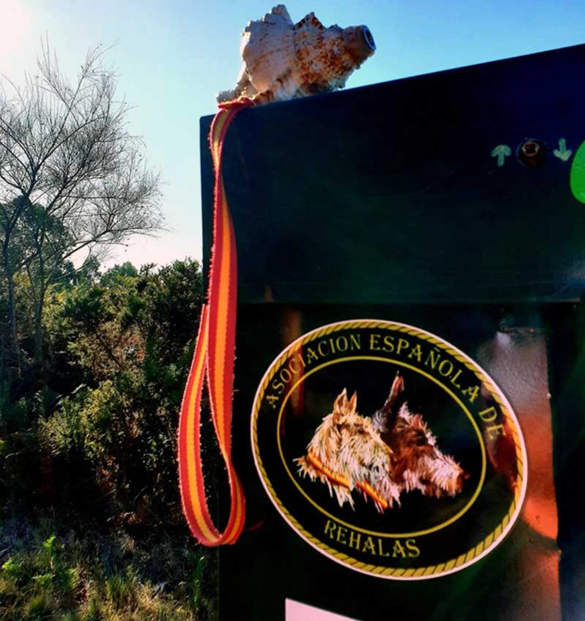 Novedades en materia de transporte de rehalas Real Decreto 638/2019