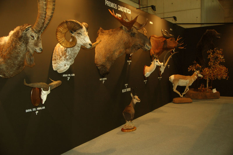 Premios-cinegetica-2020