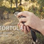 fiscalia_trtola