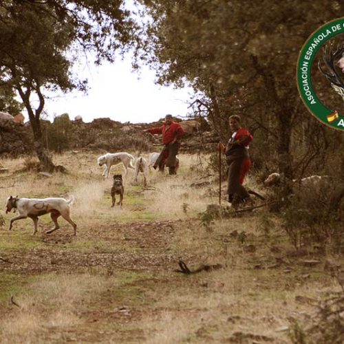La Asociación Española de Organizadores de Monterías entra a formar parte de la ONC