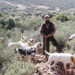 Miguel-Feijoo-(2)