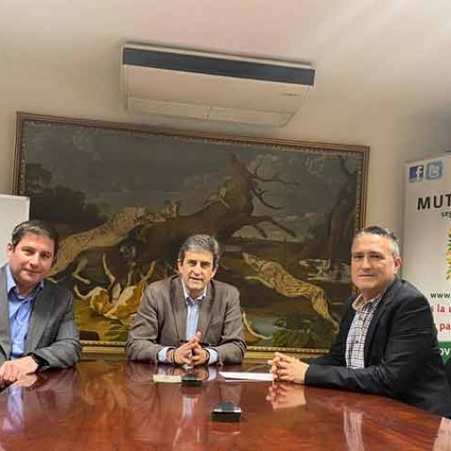 Los federados de la Comunidad Valenciana disfrutarán de coberturas más amplias gracias a Mutuasport