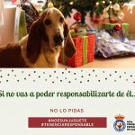 tenenciaresponsable1