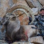 2 Ibex mongolia Pedro Ampuero