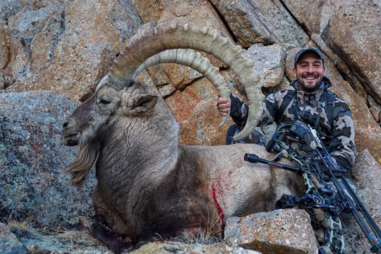 2 Ibex mongolia Pedro Ampuero