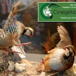 APERTURA-cinegetica