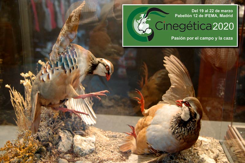 APERTURA-cinegetica