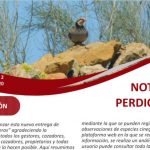 Artemisan perdiz febrero 20