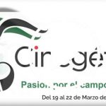 Publi-Cinegetica20