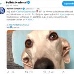 tuit_policia_nacional