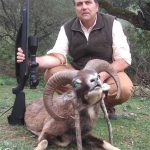 German-el-gamo-muflon