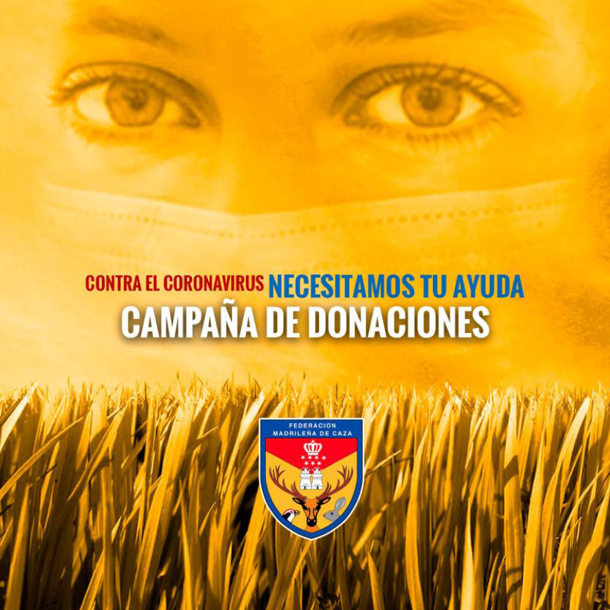 campana solidaria corvi