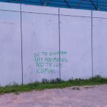 pintada-animalista