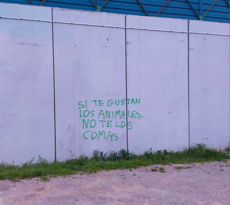 pintada-animalista