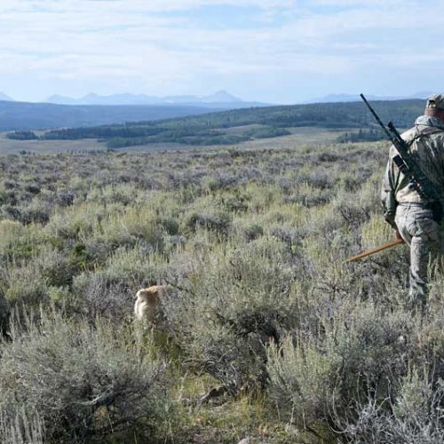 La RFEC presenta a Sanidad un protocolo de práctica segura de la caza para la Fase I