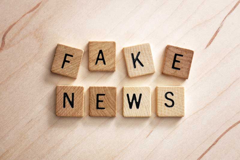 fake