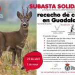 subasta-corzo