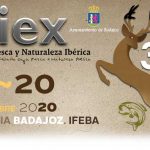 Cabecera-feciex-20