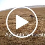 Nora-aguanta-la-muestra