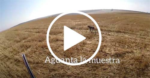 Nora-aguanta-la-muestra