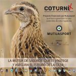 Codorniz mutuasport