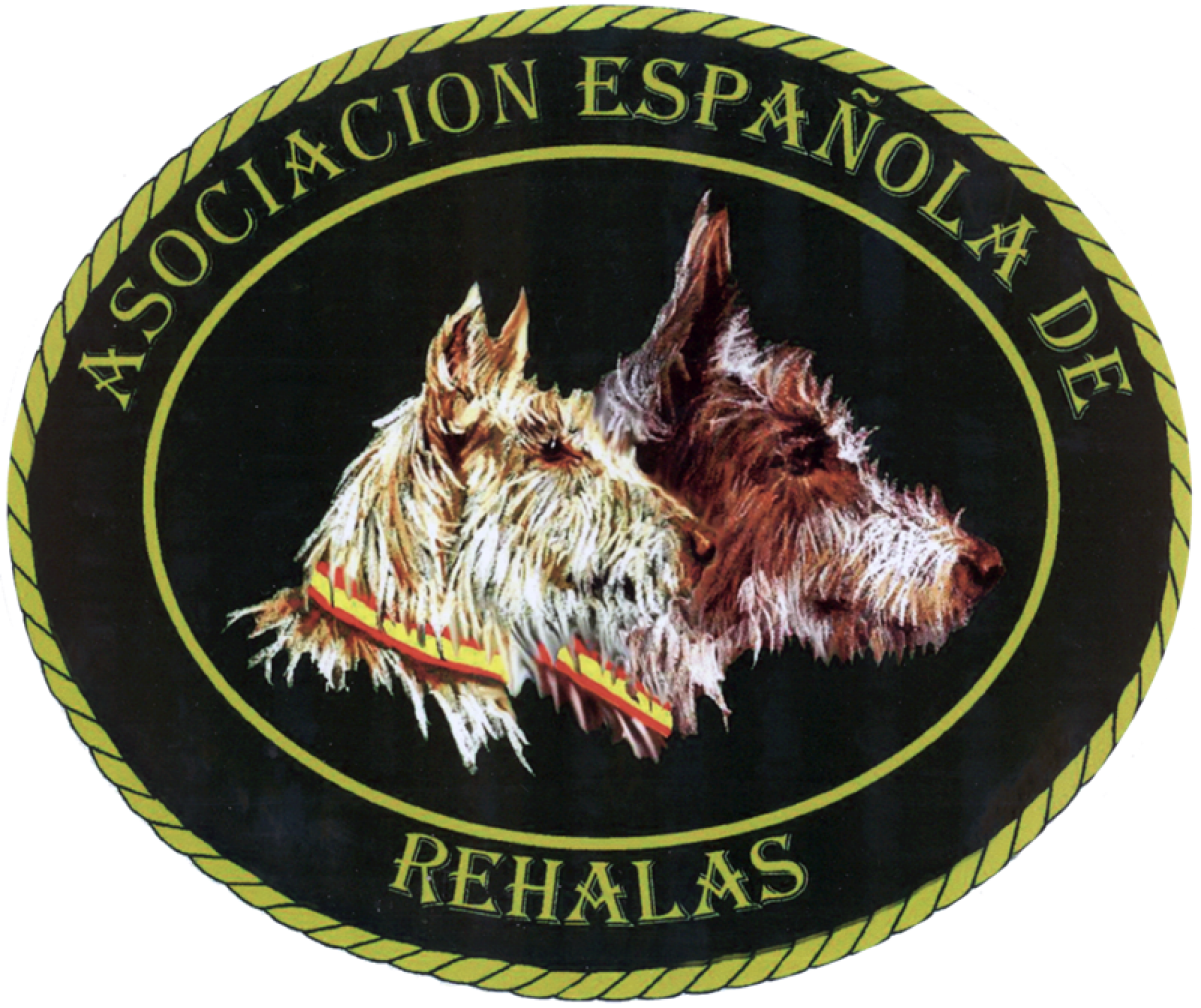 Nueva ley de bienestar animal en Castilla-La Mancha