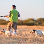 Perros-de-caza