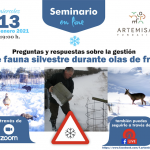 Artemisan