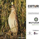 Proyecto Coturnix