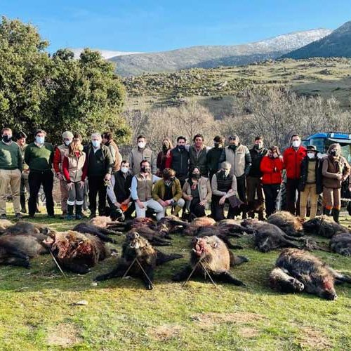 El Real Club de Monteros celebra su IX Montería Anual en Villatoro