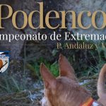 Campeonato Podencos Extremadura 2021