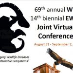 congreso-web-