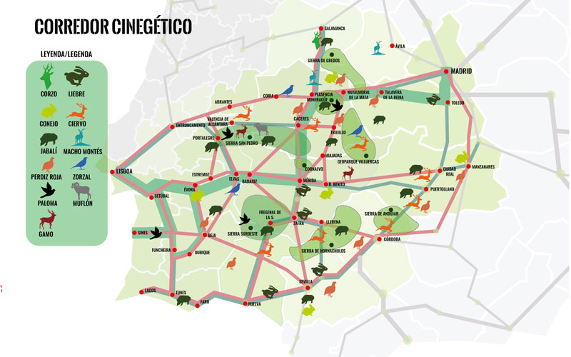 corredor-cinegético-sudoeste-Federaciones