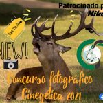 Concurso fotografía Cinegética 2021
