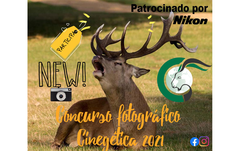 Concurso fotografía Cinegética 2021