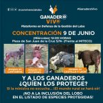 CARTEL-MANIFESTACIÓN-9-junio-MITECO-PLATAFORMA-LOBO-800x500