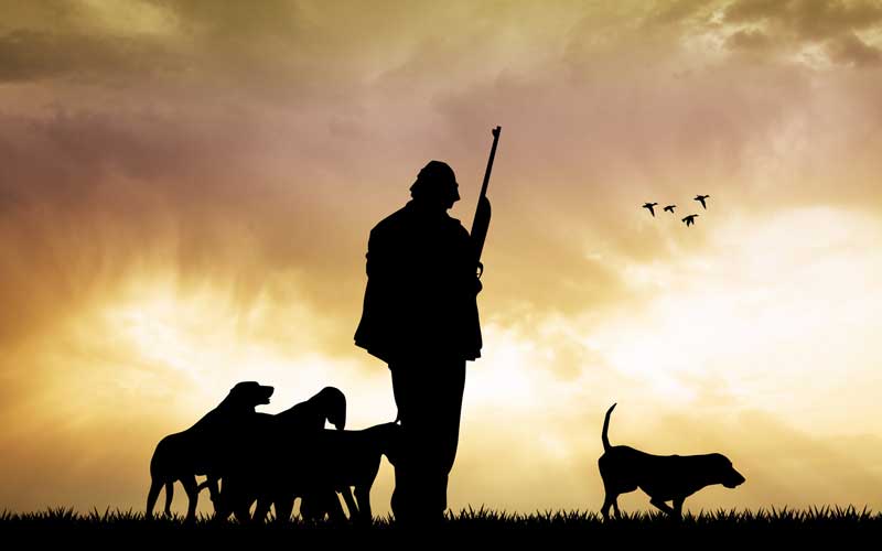 cazador con perros