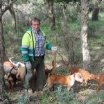 Perros de rehala.