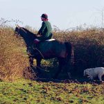 Caza del zorro en Irlanda