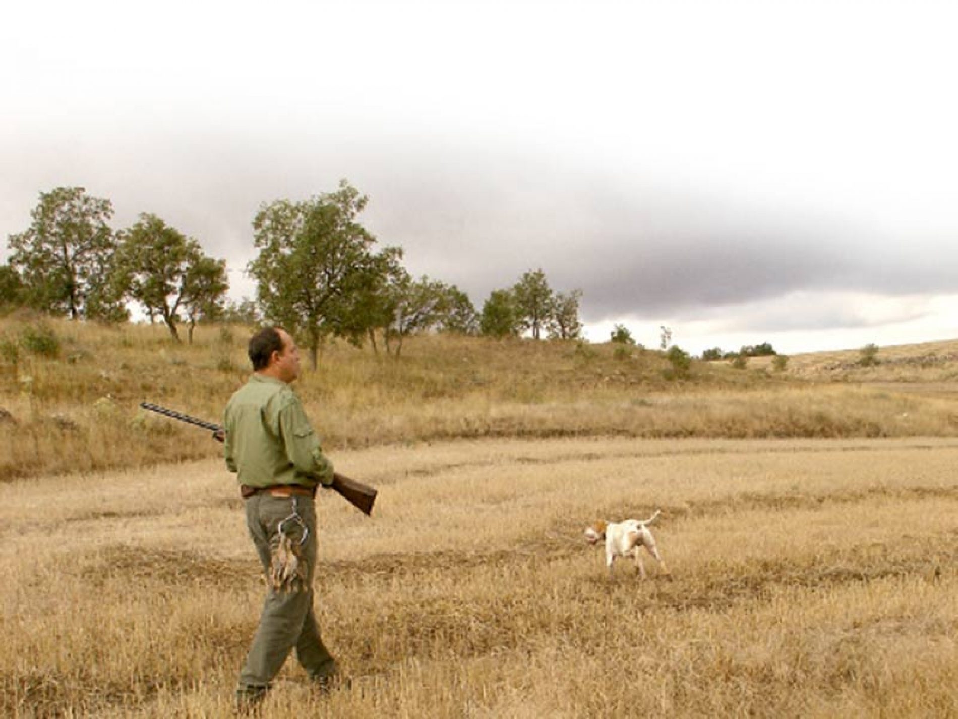 La FMC organiza otra nueva edicion del curso de cazador formado en sanidad animal y manipulación de la carne de caza